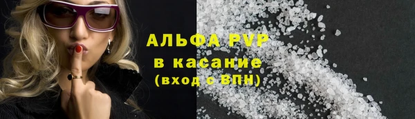твердый Бородино