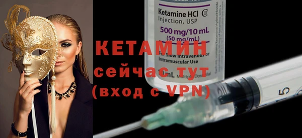 твердый Бородино
