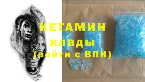 твердый Бородино