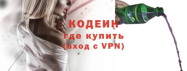 твердый Бородино