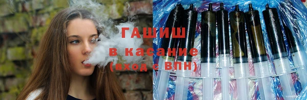 твердый Бородино