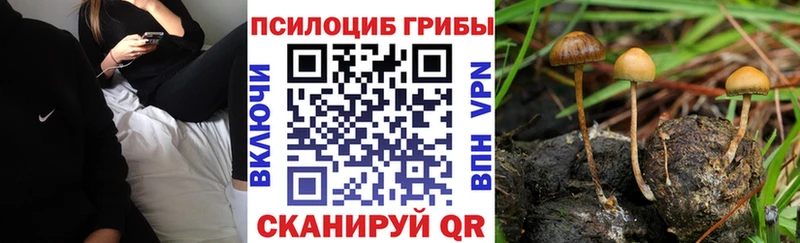 Псилоцибиновые грибы мухоморы  Нижний Новгород 